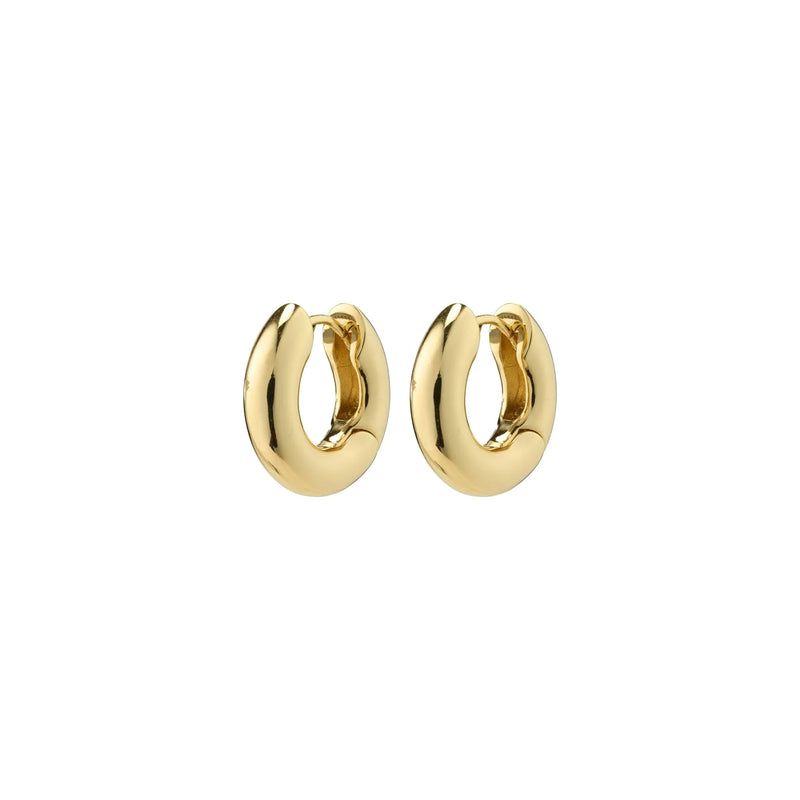 Aica Micro Gold Plated Hoops