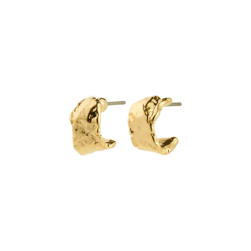 Instant Gold Plated Earrings