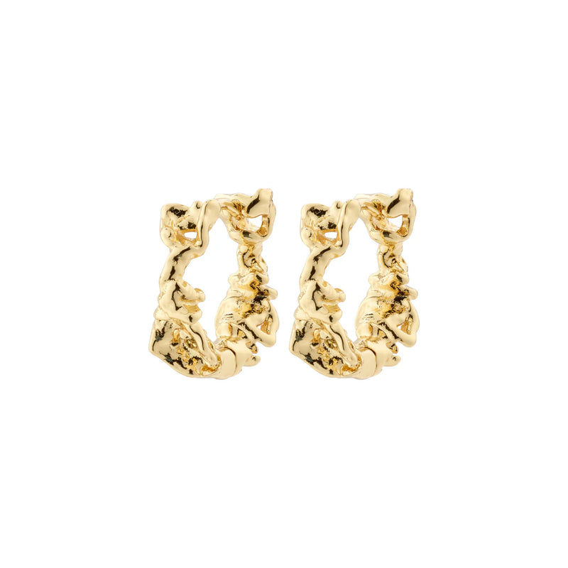 Trust Gold Plated Hoops