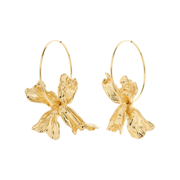 Dream Gold Plated Hoops