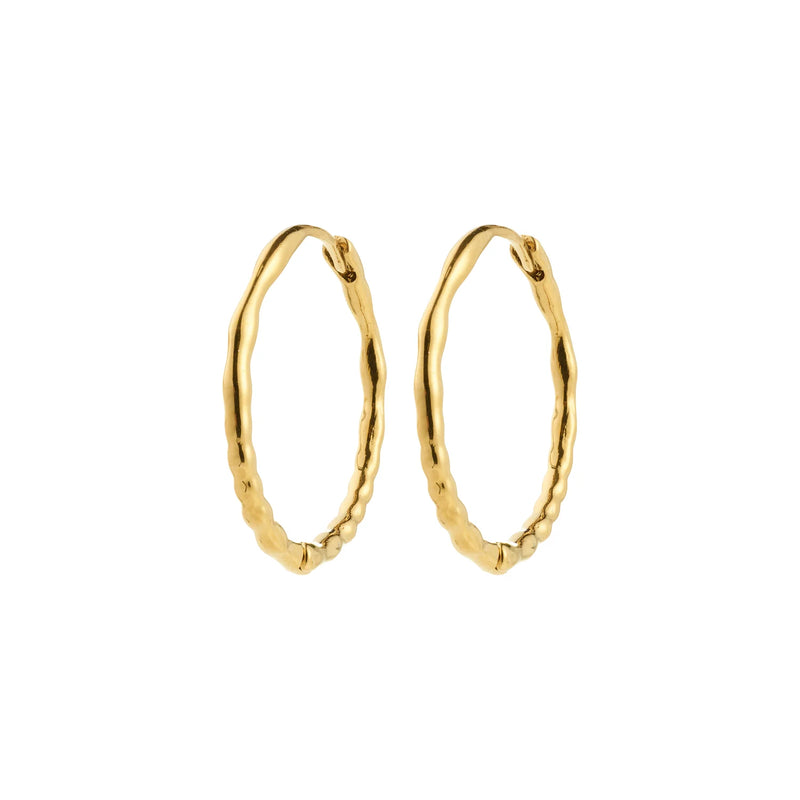 Between Gold Plated Hoops