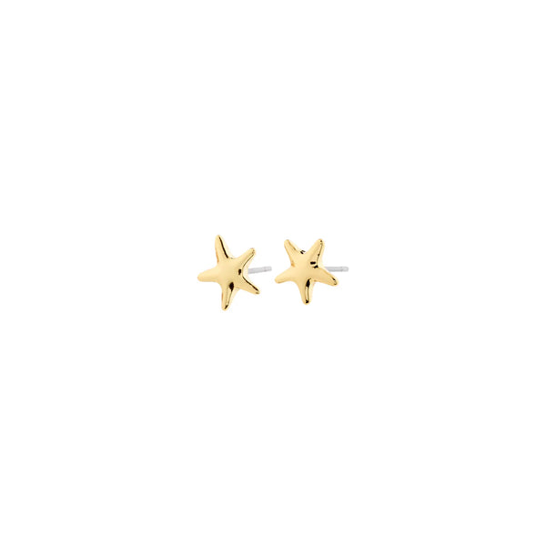 André Gold Plated Studs