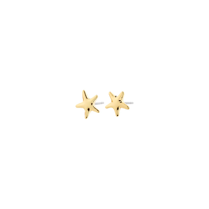 André Gold Plated Studs