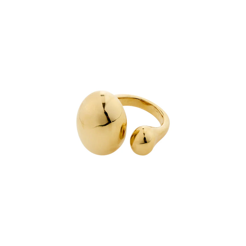 Alvin Gold Plated Ring
