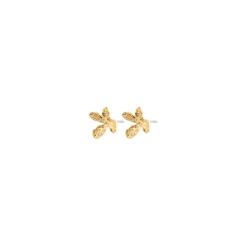 Aglaia Gold Plated Studs