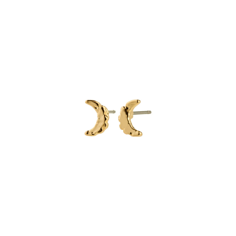 Between Gold Plated Studs