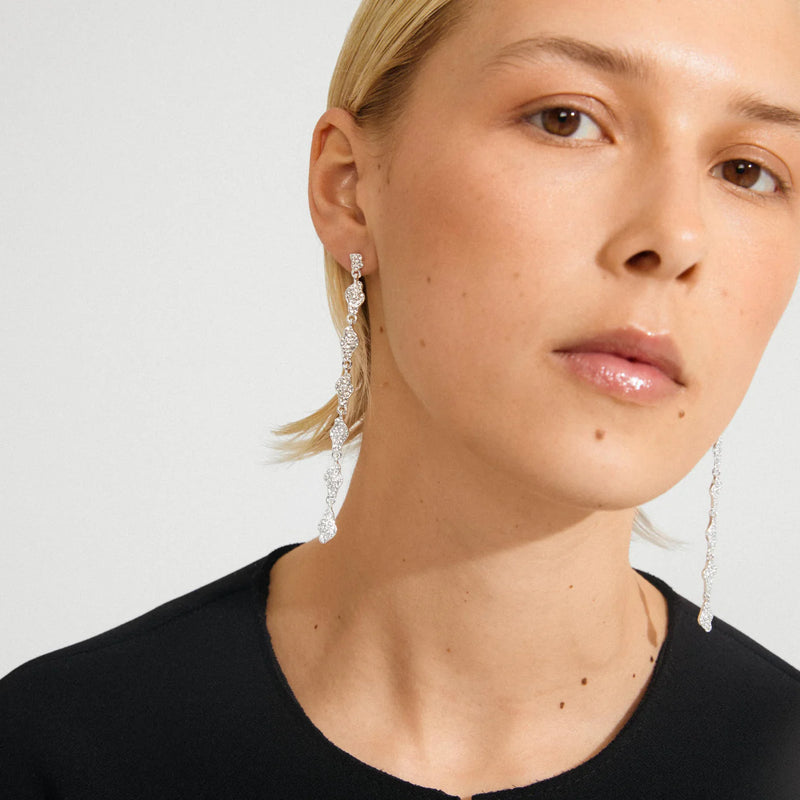 Basil Silver Plated Crystal Earrings