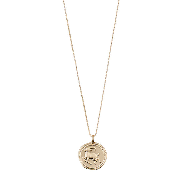Capricorn Gold Plated Necklace