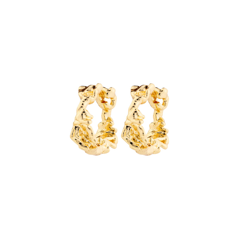 Trust Gold Plated Hoops