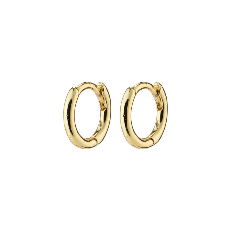 Eanna Micro Gold Plated Huggie Hoops