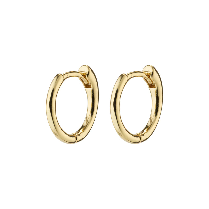 Eanna Small Gold Plated Huggie Hoops