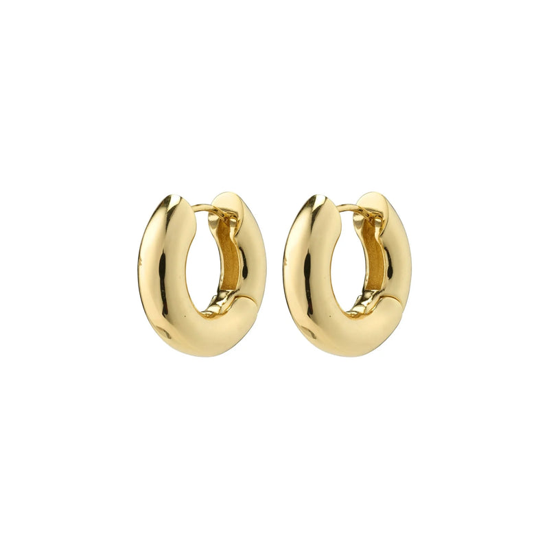 Aica Small Gold Plated Hoops