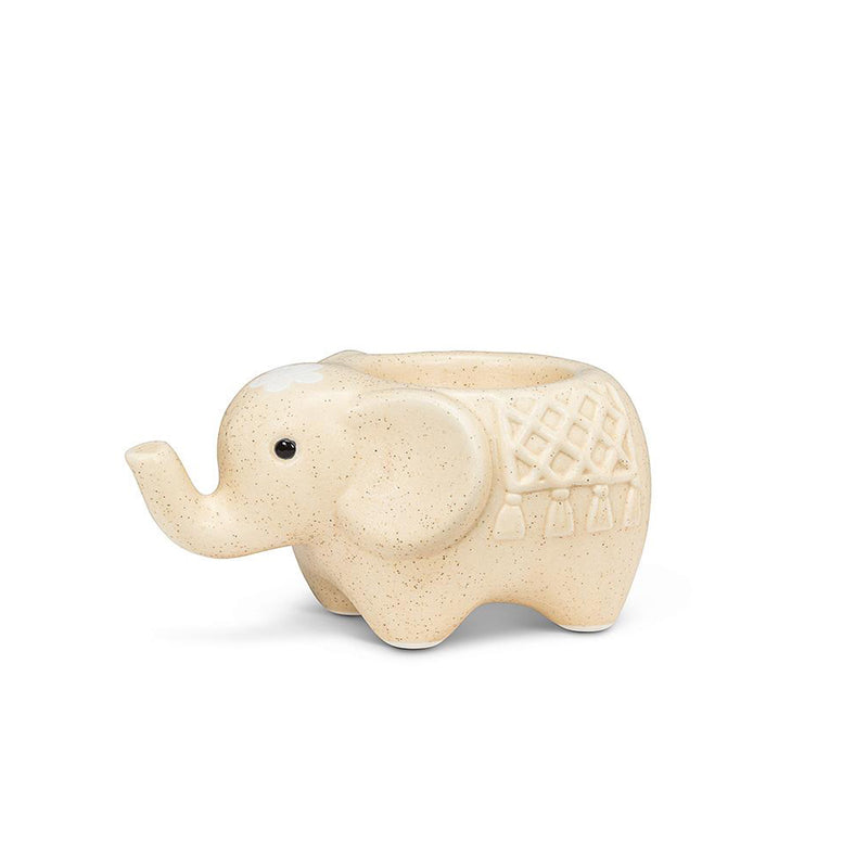 Elephant Egg Cup