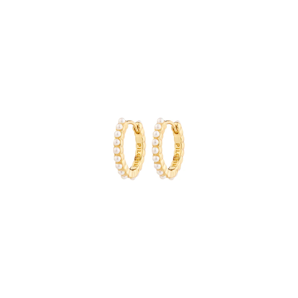 Kalia Gold Plated Hoops