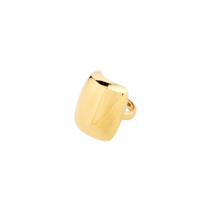 Kieran Gold Plated Ring