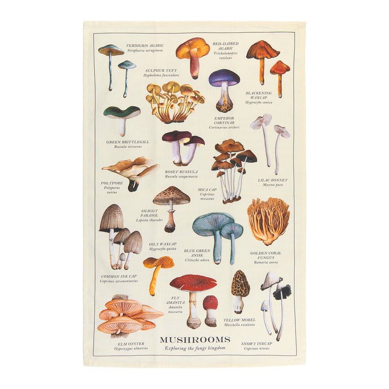 Cotton Dishtowel