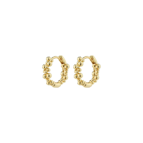Solidarity Small Gold Plated Hoops