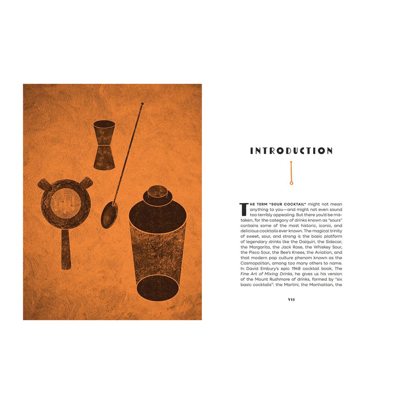 Sours: A Cocktail Book