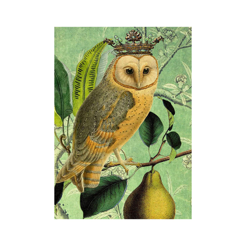 The Owl & The Pear Card