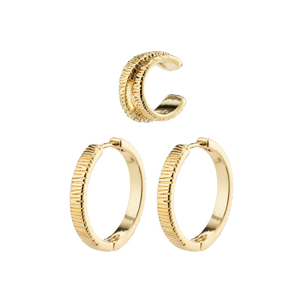 Care Gold Plated Earring Set