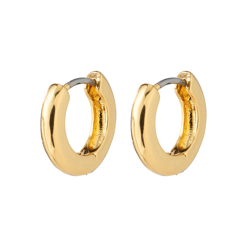 Francis Gold Plated Hoops