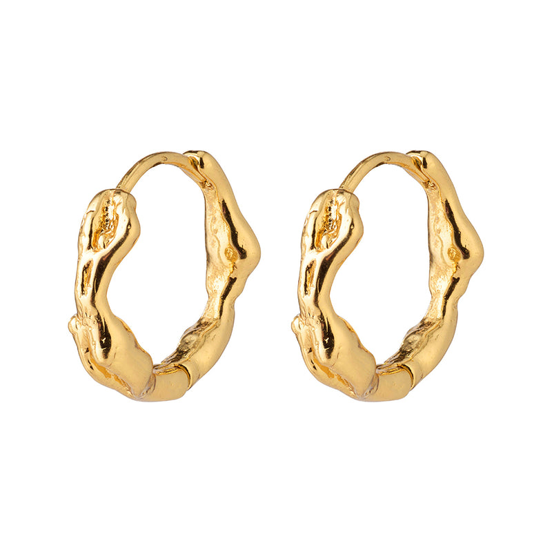 Zion Gold Plated Hoops