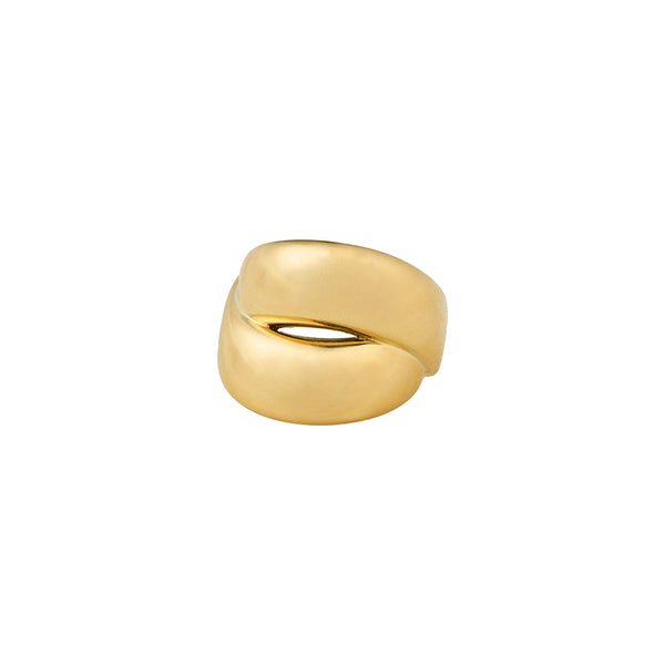 Raven Gold Plated Ring