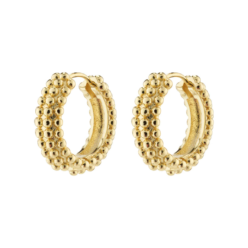 Anitta Gold Plated Hoops