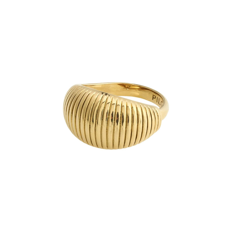 Xena Gold Plated Dome Ring