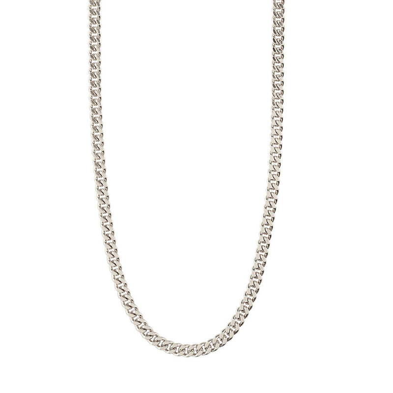 Fuchsia Silver Plated Chain