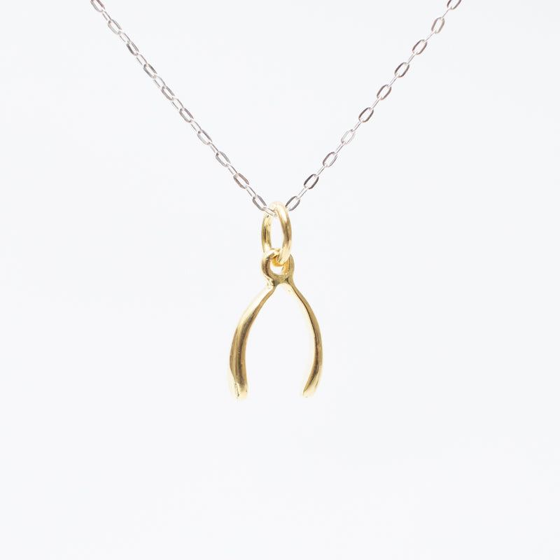 Gold Vermeil Cutout Wishbone Necklace