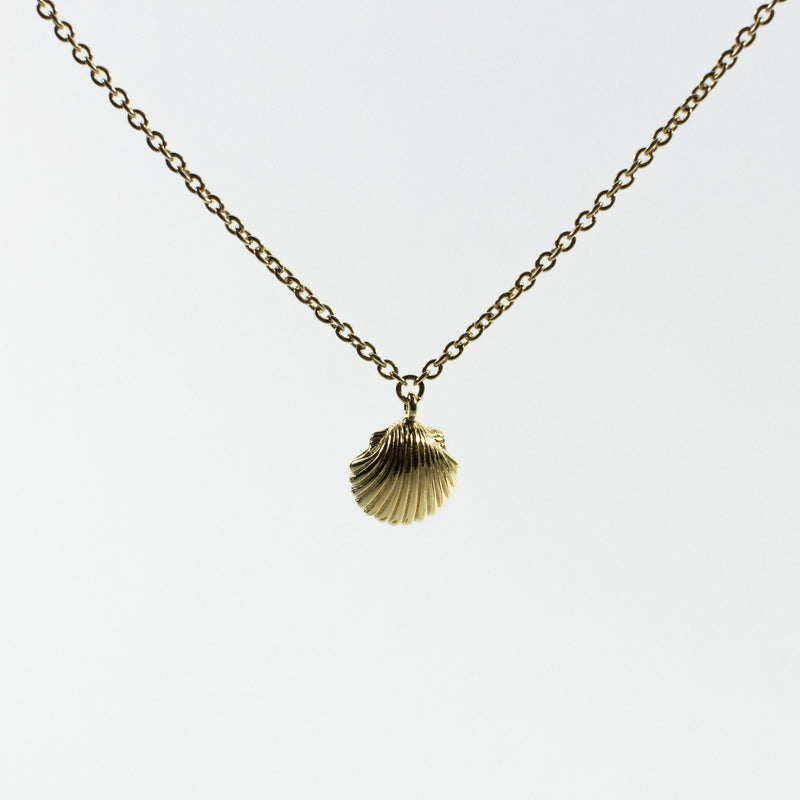 Gold Vermeil Shell Necklace