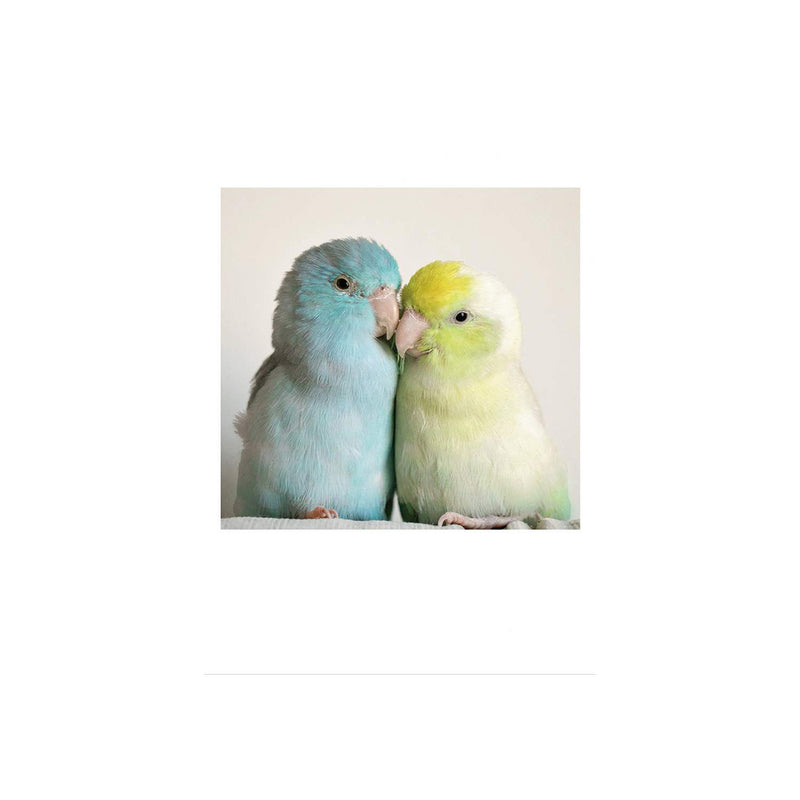 Two Love Birds Card