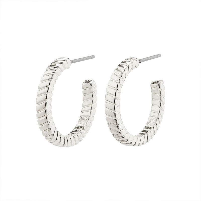 Ecstatic Silver Plated Hoops