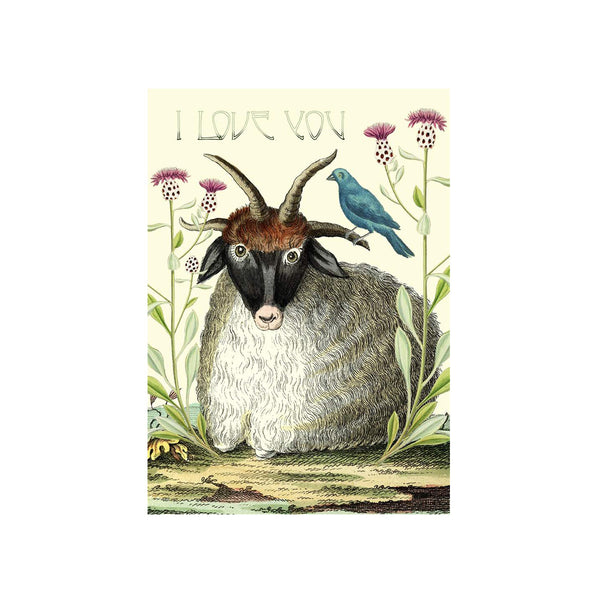 I Love You Billy Goat Card