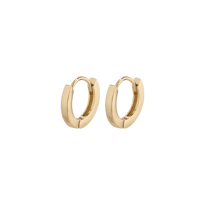 Arnelle Gold Plated Hoops
