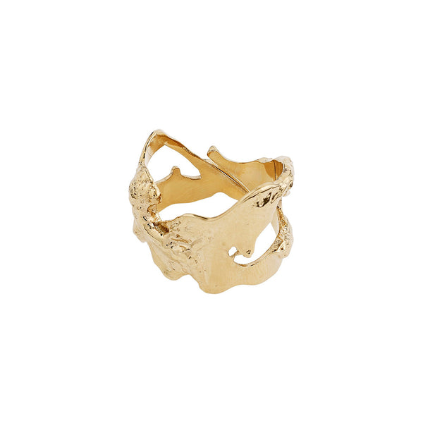 Compass Gold Plated Ring
