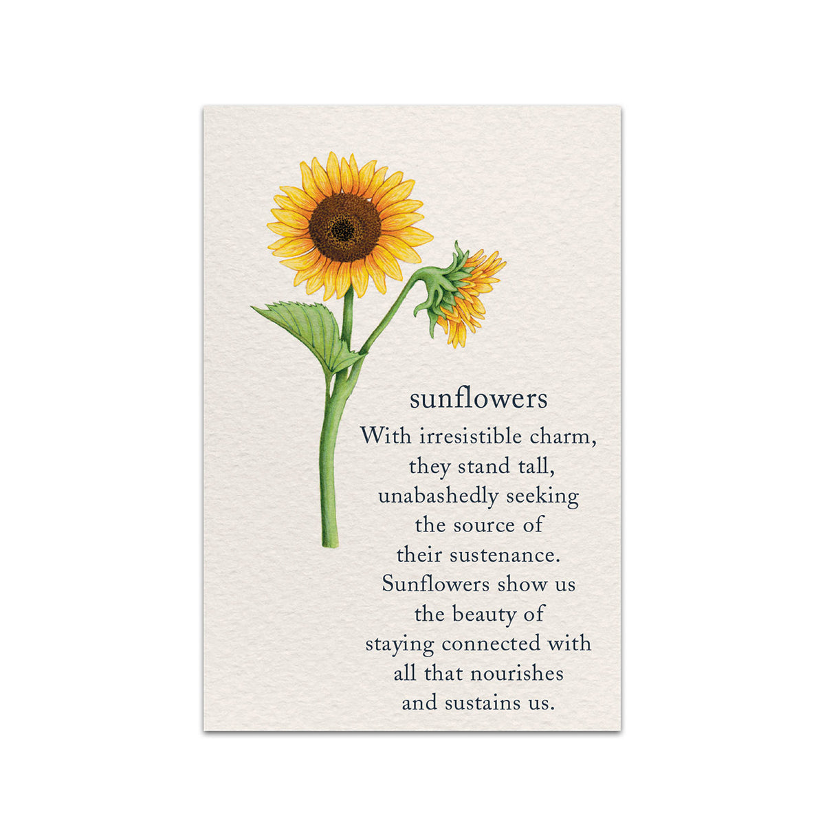 Happy Birthday Uncle Card Grandad Birthday Card, Sunflower Birthday Card,  Flower Birthday Card, Happy Birthday Granddad Card, Floral Birthday Card -  Canada Uncle Birthday Card, image size:1200x1200